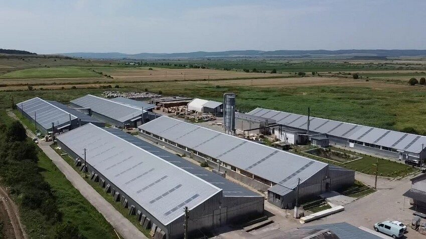 Roca Industry oprește plata pentru Workshop Doors. Auditul ridică semne de întrebare