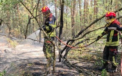 Pompieri români în Serbia: Risc maxim pe 34 hectare