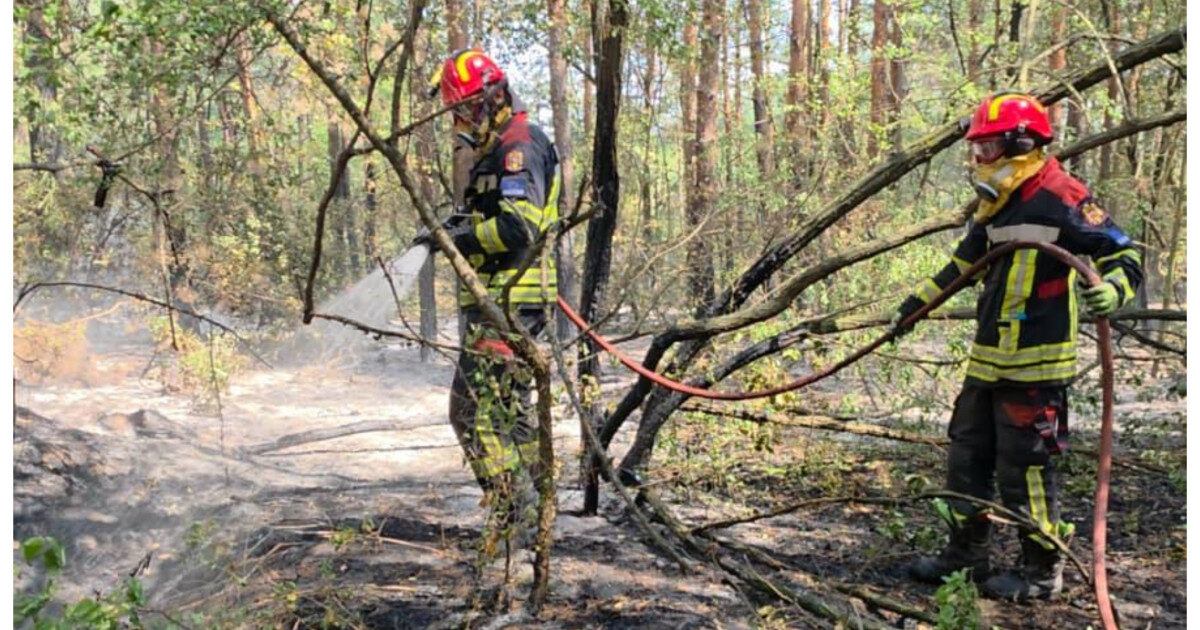 Pompieri români în Serbia: Risc maxim pe 34 hectare