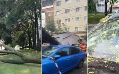 Vânt cumplit: Copaci doborâți, acoperiș peste mașini