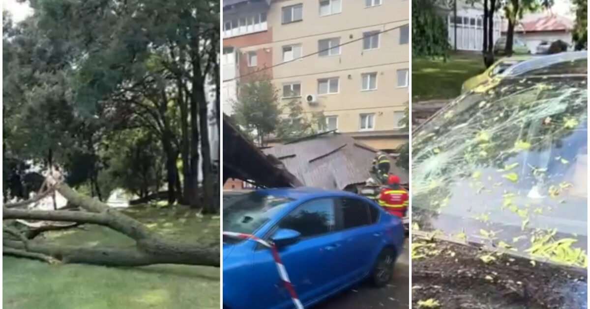 Vânt cumplit: Copaci doborâți, acoperiș peste mașini