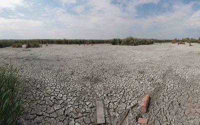 Ploile de vară, ineficiente contra secetei. Climatolog: Neuniform, nu unde e nevoie