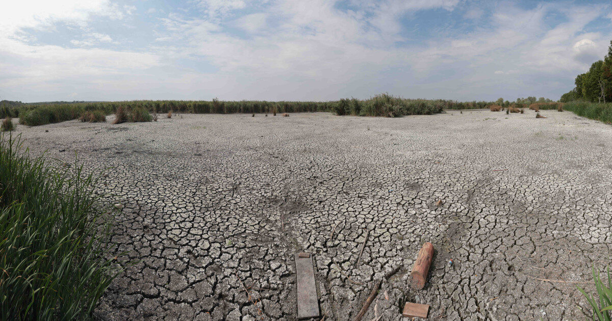 Ploile de vară, ineficiente contra secetei. Climatolog: Neuniform, nu unde e nevoie