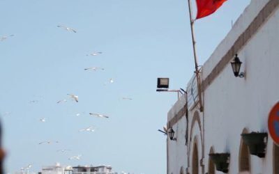 UE dă 190 mil. Euro Marocului pentru migrație până în 2027