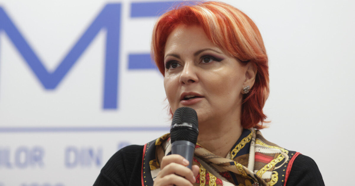 Olguța Vasilescu: Sporul european, 20% sau 40% pentru toți