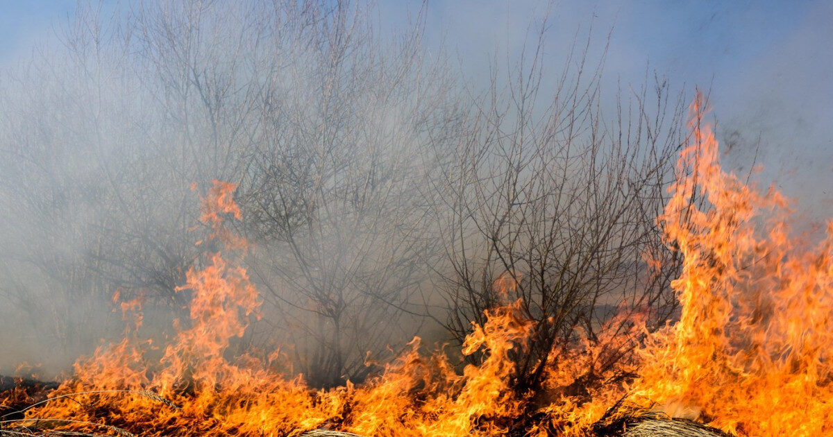 Incendii Caraș-Severin: 4 focare active, mobilizare totală