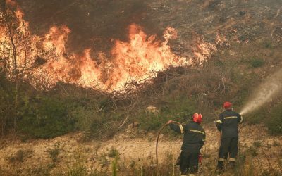 Incendiu în Halkidiki: Turiști evacuați pe mare, sute de pompieri luptă cu focul