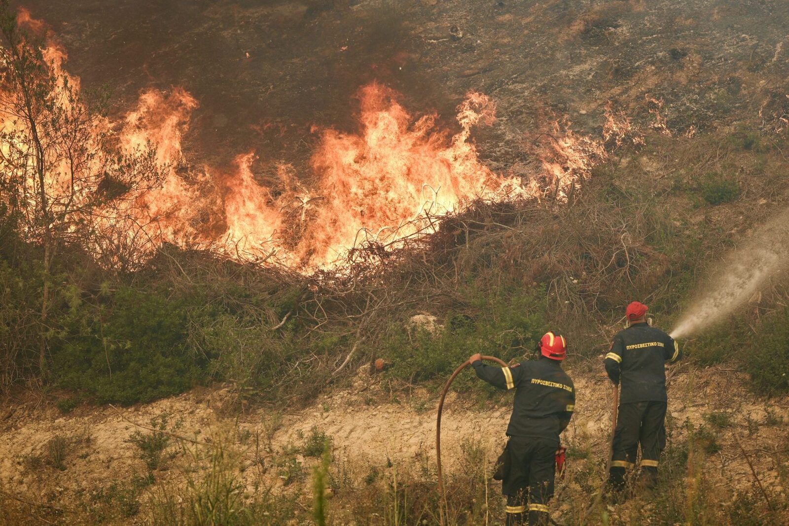 Incendiu în Halkidiki: Turiști evacuați pe mare, sute de pompieri luptă cu focul