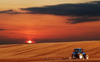 Norofert extinde producția în Brazilia: O nouă fabrică uriașă
