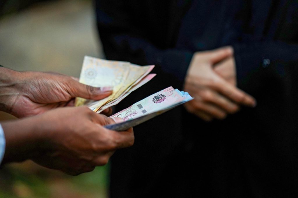 Diaspora, 100 mil. € pentru afaceri acasă