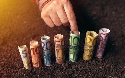 Granturi 50.000 EUR ferme mici: Noi reguli UE pentru 2026