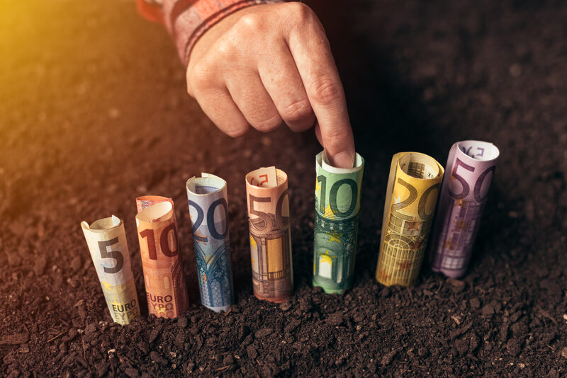 Granturi 50.000 EUR ferme mici: Noi reguli UE pentru 2026