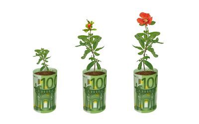 Fonduri UE 100.000 EUR fermieri flori/plante medicinale. Ghid AFIR