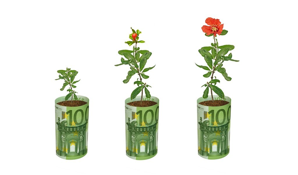 Fonduri UE 100.000 EUR fermieri flori/plante medicinale. Ghid AFIR