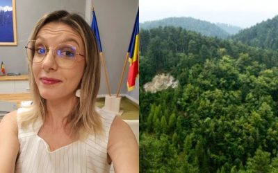 Buzoianu: România bate țintele PNRR pentru păduri. Surpriză zonele verzi