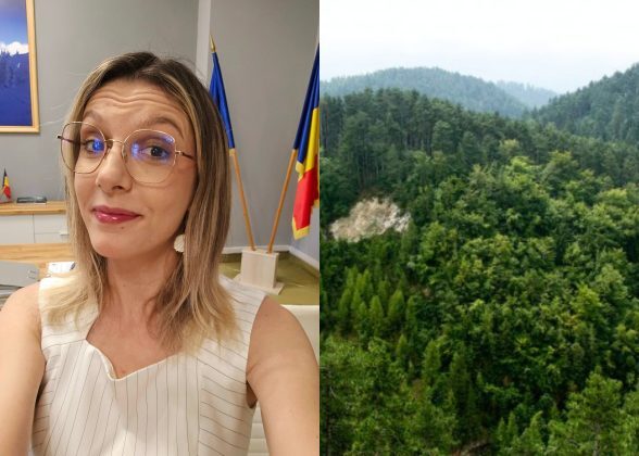 Buzoianu: România bate țintele PNRR pentru păduri. Surpriză zonele verzi