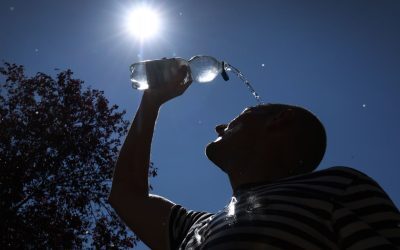 Caniculă în Germania: Când vin ploile salvatoare
