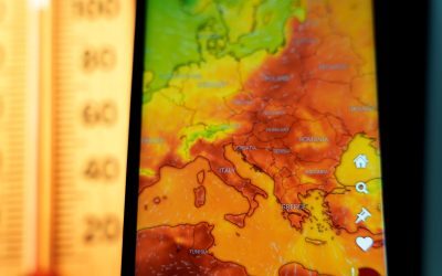Europa, lovită de căldură: Peste 35.000 de morți vara asta