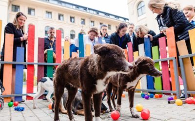 Summit Animal România: Relevanță națională la Cotroceni
