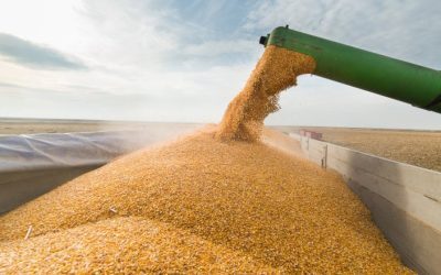 Ucraina pe șine spre Constanța: Grâne pe cale ferată prin Moldova