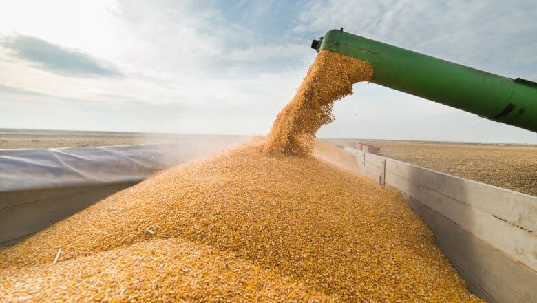 Ucraina pe șine spre Constanța: Grâne pe cale ferată prin Moldova