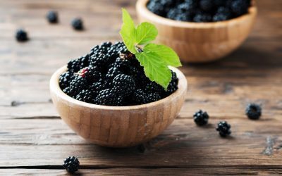 Coacăzele negre, accelerator de grăsime pentru organism