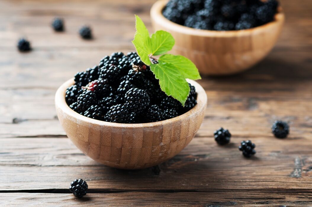 Coacăzele negre, accelerator de grăsime pentru organism