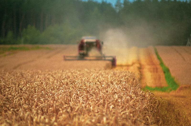 Ucraina cere UE 220 mil. Euro pentru fermieri