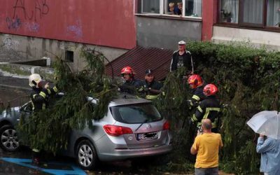 Brașovul, sub ape: Copaci rupți de furtuna violentă – VIDEO