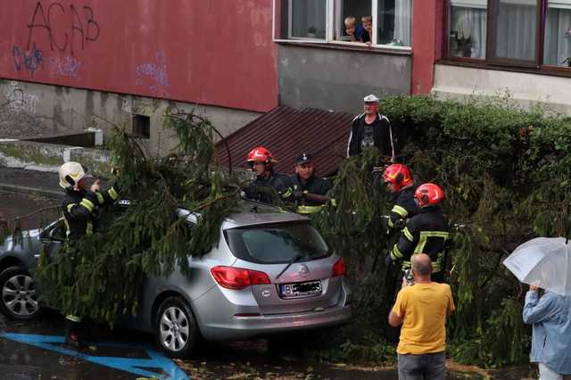 Brașovul, sub ape: Copaci rupți de furtuna violentă – VIDEO