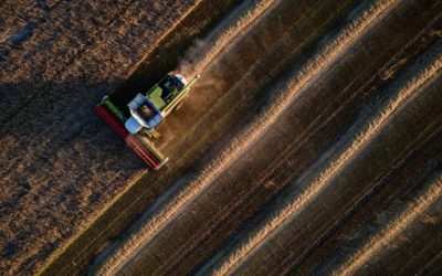 Fermierii ucraineni: Recoltă bună, dar marfă blocată de Rusia