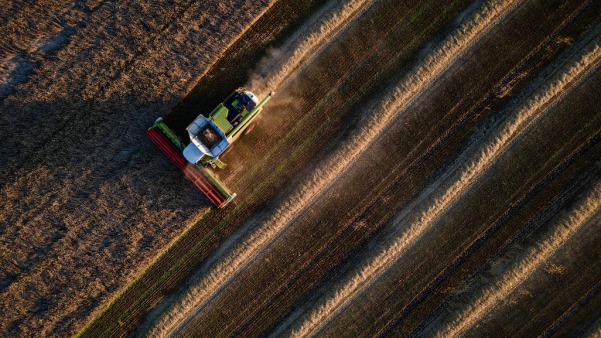 Fermierii ucraineni: Recoltă bună, dar marfă blocată de Rusia