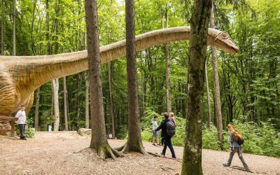 Dino Parc Râșnov: 4,5 milioane turiști, 130 mil. Euro impact economic