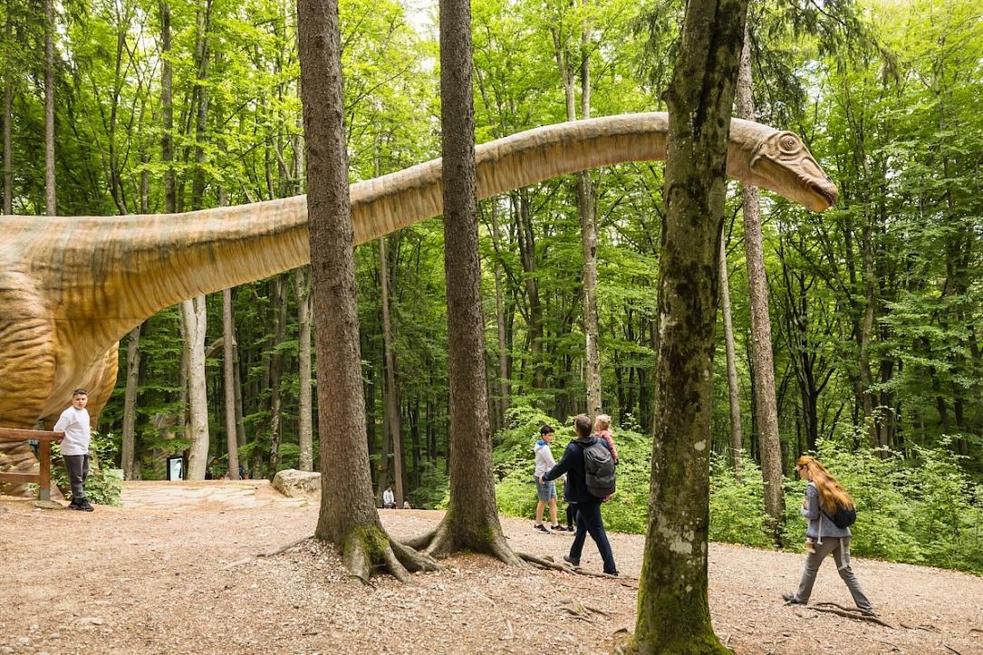 Dino Parc Râșnov: 4,5 milioane turiști, 130 mil. Euro impact economic