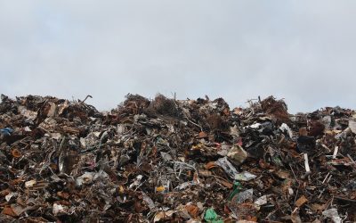 Firma cu deșeuri, blocată pe 4 hectare din Constanța