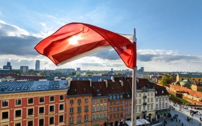 Pumă în Polonia? Vânătorii semnalează fiorosul animal lângă Varșovia