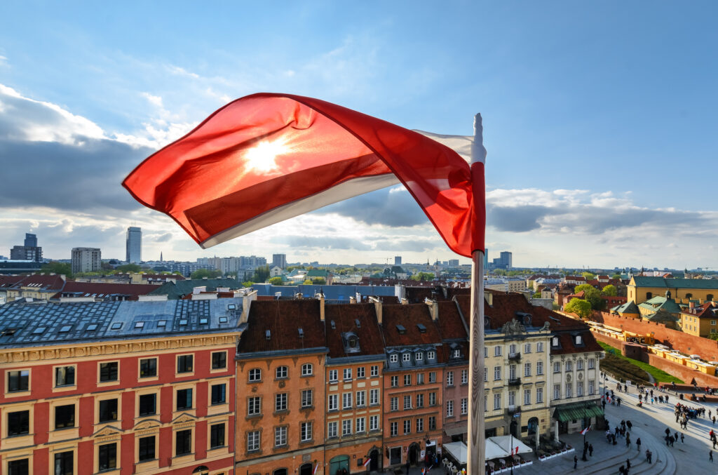 Pumă în Polonia? Vânătorii semnalează fiorosul animal lângă Varșovia