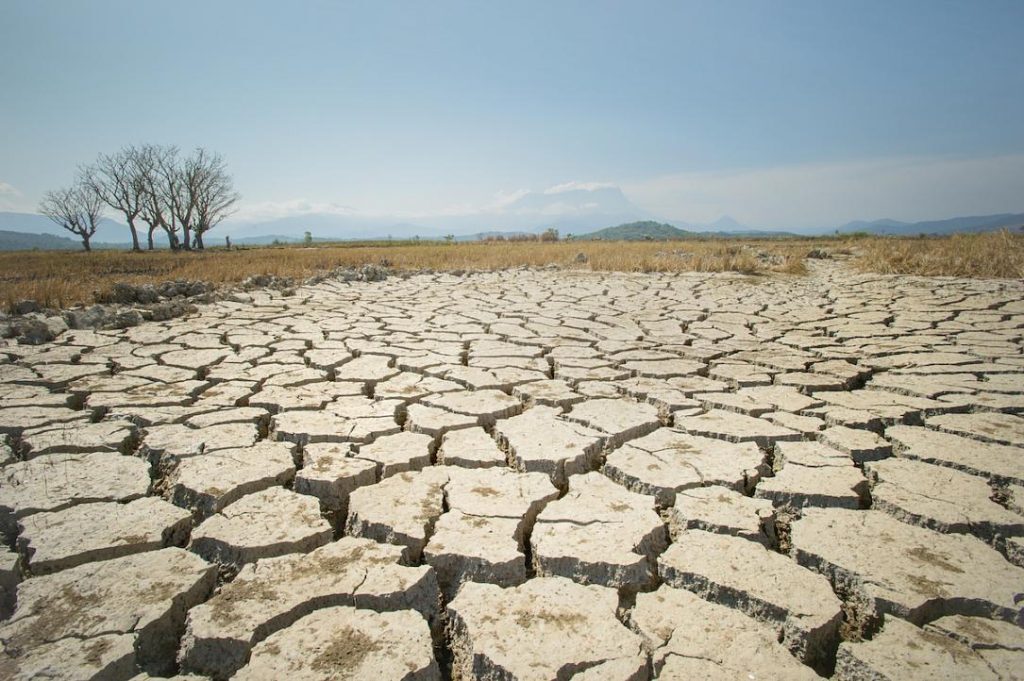 Secetă extinsă în Nordul României