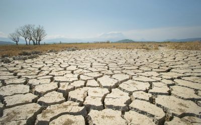 Secetă extinsă în Nordul României