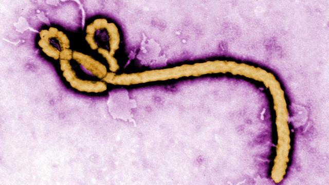 Ebola mutată în RD Congo, pericol global iminent