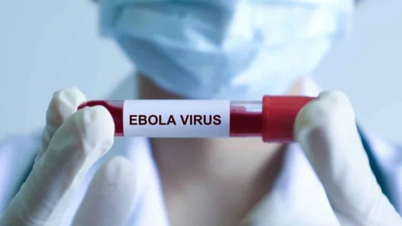 Epidemia avansează-n viteză record