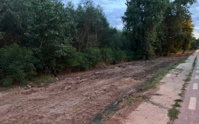 Pușcani, liliecii și lupta pentru arborii de pe Faleza Galați