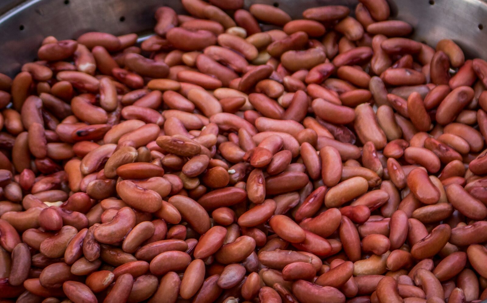 Pate de fasole: Secretul gustului desăvârșit, ingredientul-vedetă