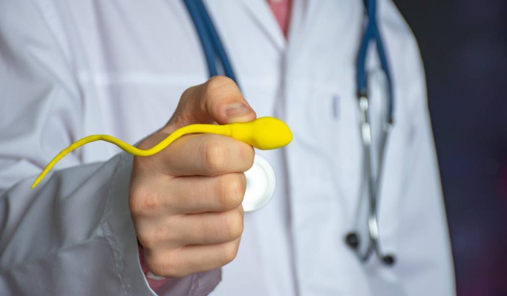 Obiceiuri periculoase: Laptop, scaun, nopți pierdute afectează fertilitatea