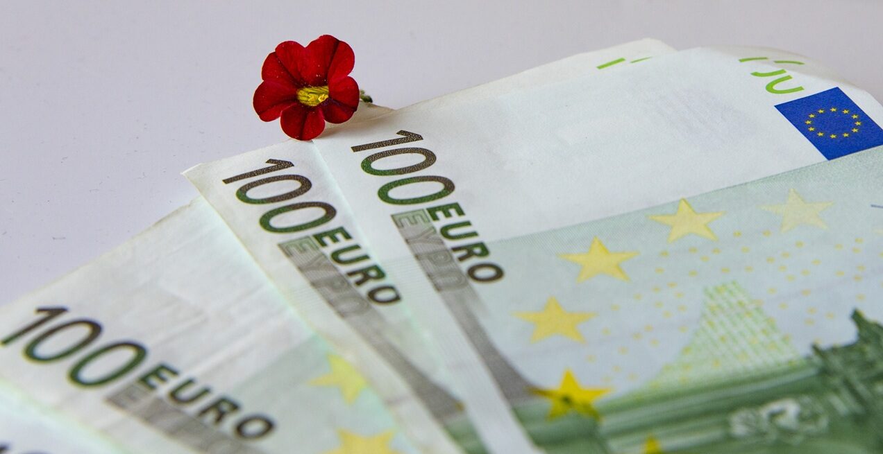AFIR: 5 mil. EUR pentru flori și plante, depuneri din septembrie