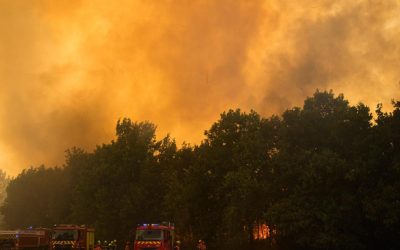 Franța: Incendii suspecte la Bordeaux, sute de arestați