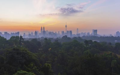 Forest City: Visul de 100 miliarde dolari, acum oraș fantomă plin de escroci