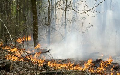 Incendiu puternic în sud-estul României după explozia unei drone