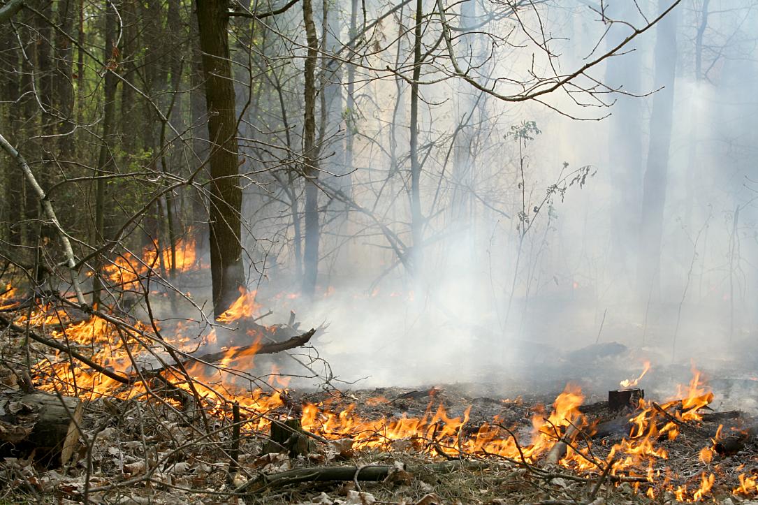 Incendiu puternic în sud-estul României după explozia unei drone