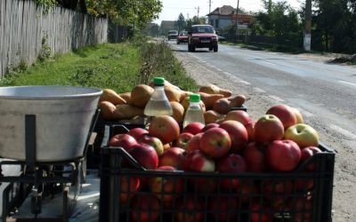 S-au dat amenzi vânzătorilor de legume. Unde a fost controale